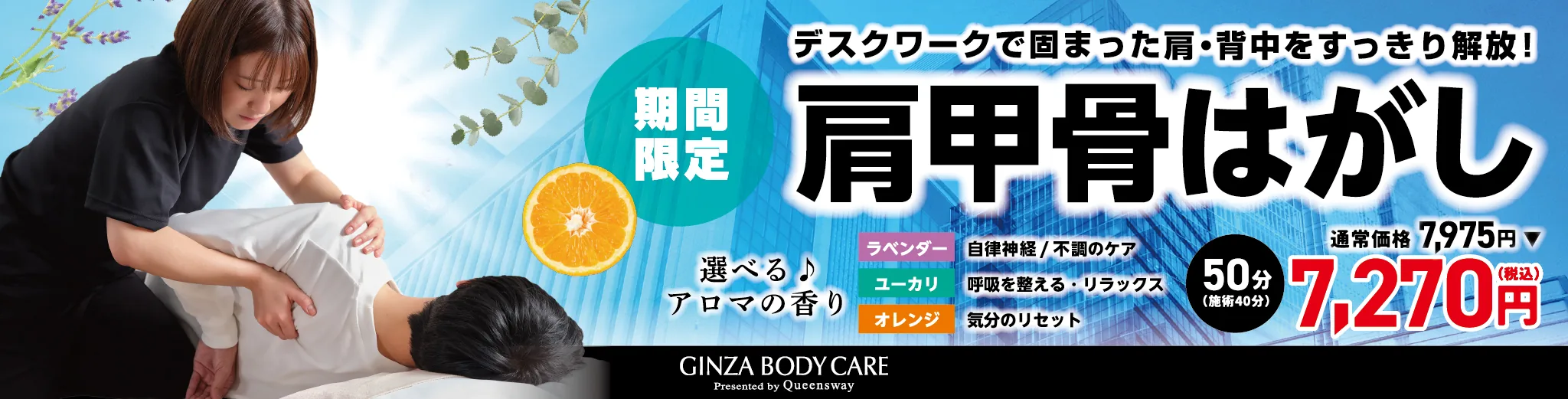 キャンペーン情報
