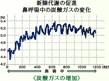 太りづらい身体づくり